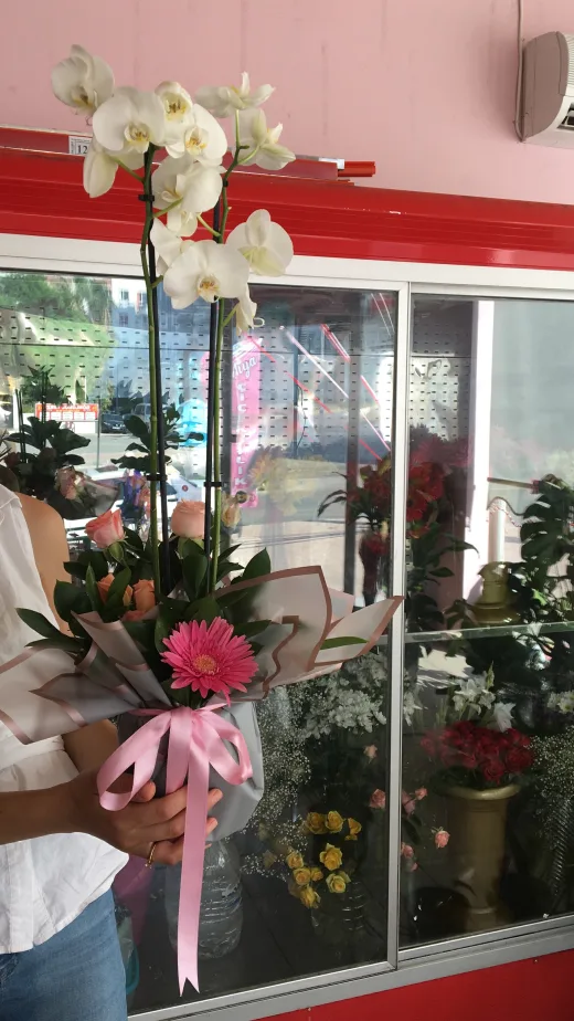 Mersin Miya Çiçekcilik