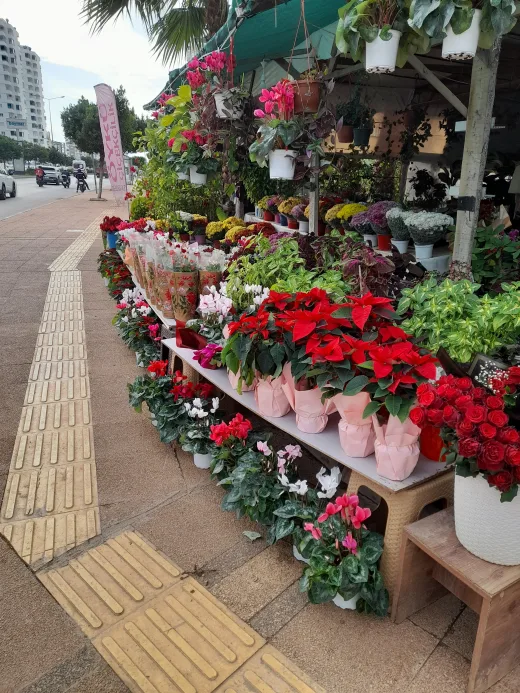 Öykü çiçekçilik