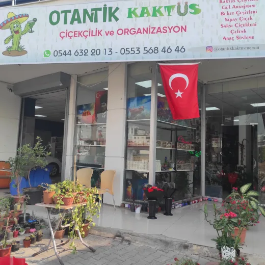 OTANTİK ÇİÇEKÇİLİK MEZİTLİ MERSİN