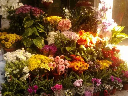 mezitlide çiçekçi