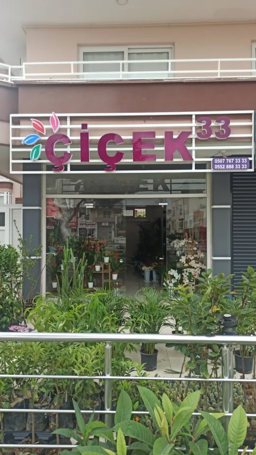 Mersin Çiçek 33 Çiçekçilik