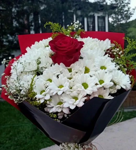 Sahil Martı Çiçekçi | Mezitli Çiçekçilik