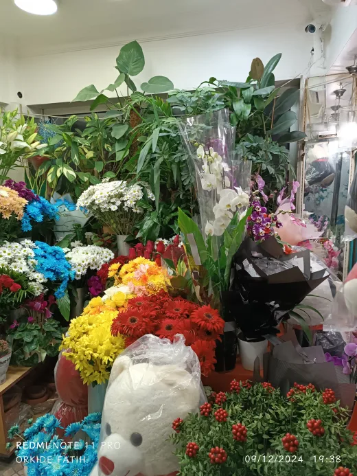 Orkide Çiçekçilik