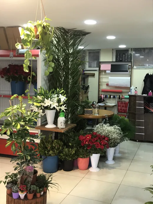 İstanbul Çiçek & Çikolata