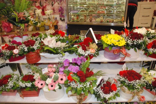 Antalya Çiçek & Antalya Çiçekçilik & Antalya Çiçekci