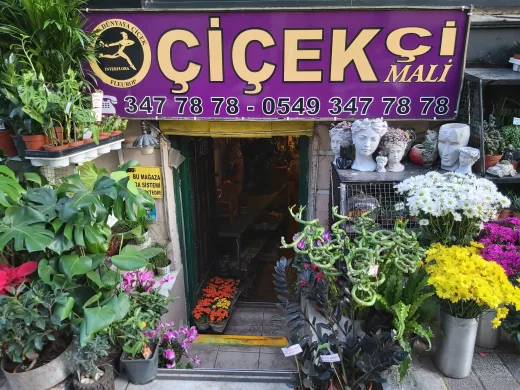 Çiçekçi Mali