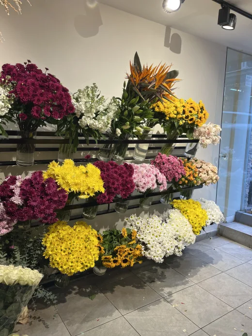 Çiçekçi Gülcan Çiçekçilik