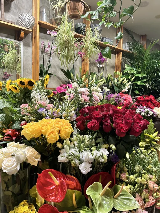 Zambak Çiçekçilik