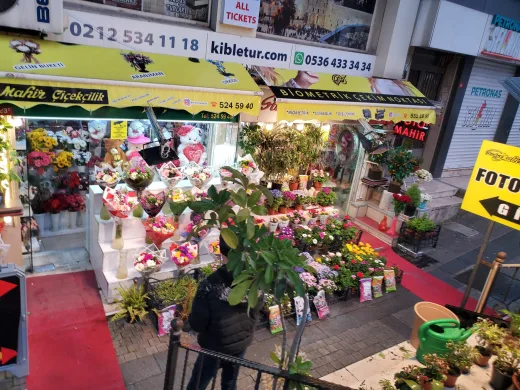 Sur Çiçekçilik ve Fotoğraf