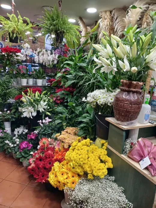 Tuğba Çiçekçilik