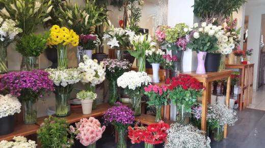 Halis Çiçekçilik