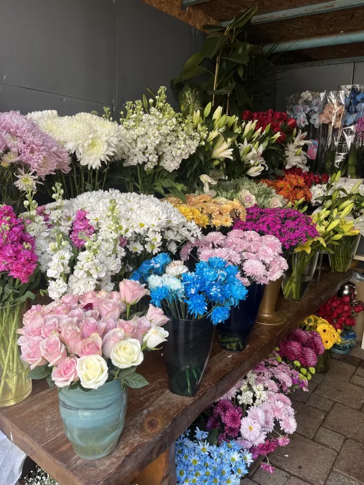 Anemon Çiçekçilik