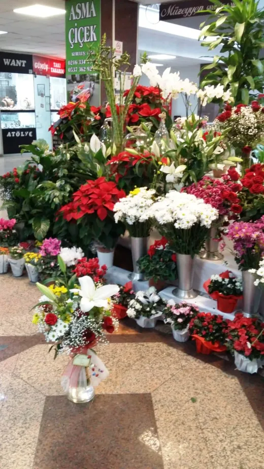 Asma Çiçekçilik