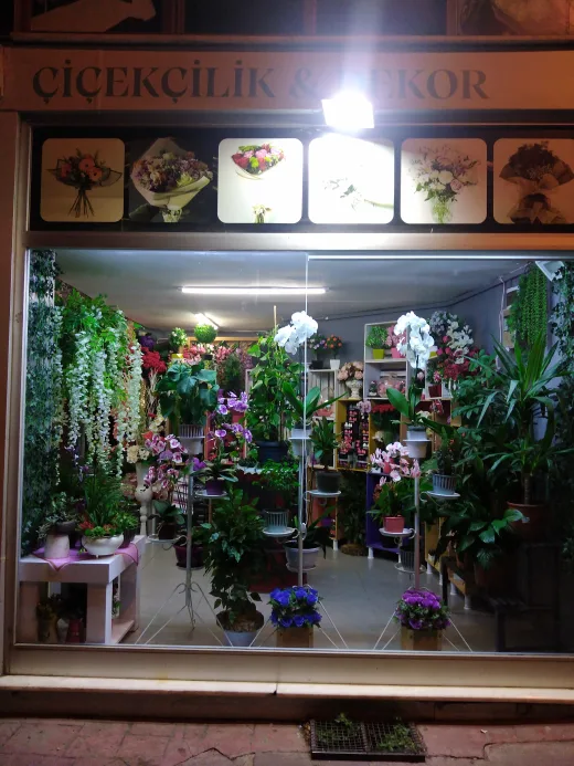 Kasımpasada canlı çiçek Yakamoz Çiçekçilik