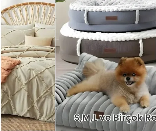 Evien Home - Som Grup teks ltd.