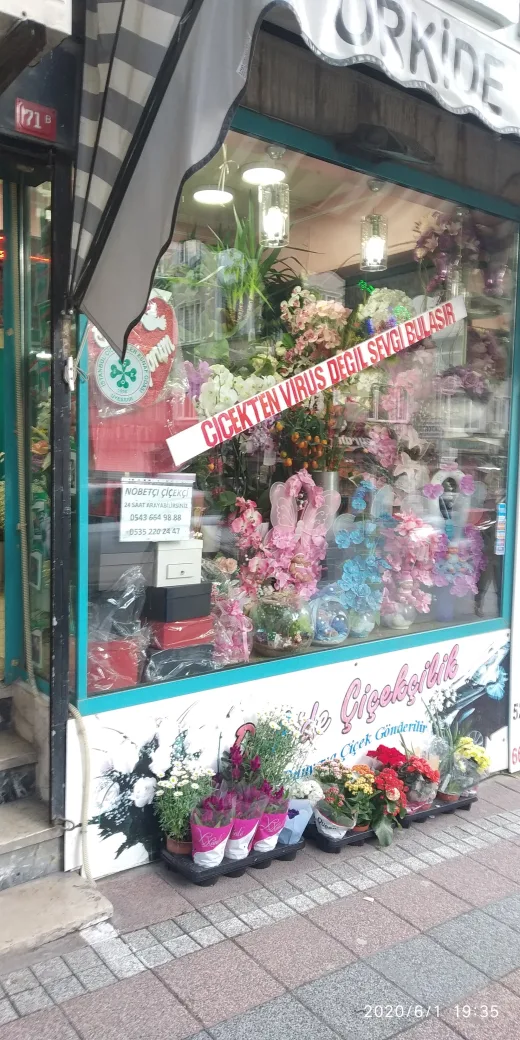 Orkide Çiçekçilik