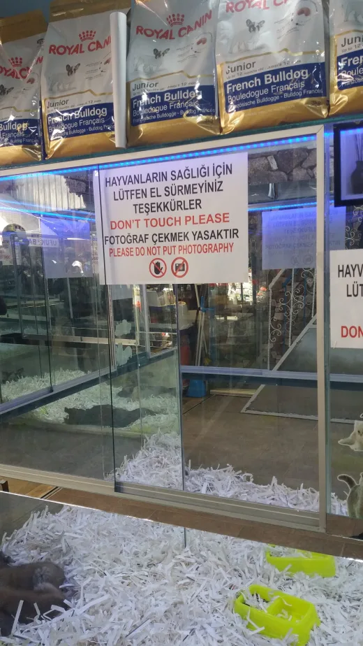 Mavi Köşk Petshop