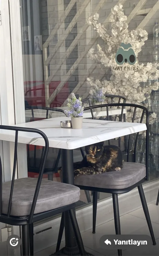 Watchers Cafe Breakfast